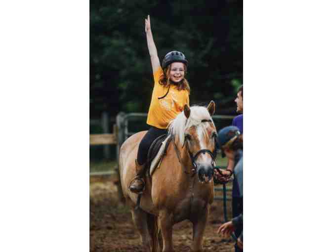 Camp Twin Creeks Overnight Camp - $1,500 Gift Card!