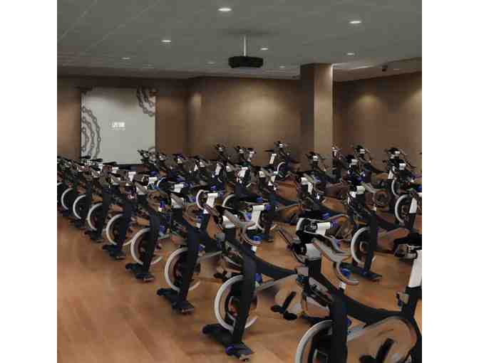 Life Time Athletic Chestnut Hill - 1 Month Family Membership