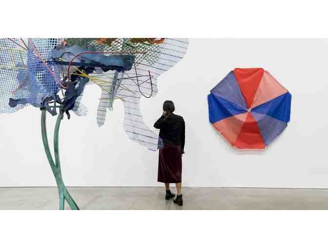 ICA and Watershed Tour with Tour Guide and Mason-Rice Parent Joelle Tomb!