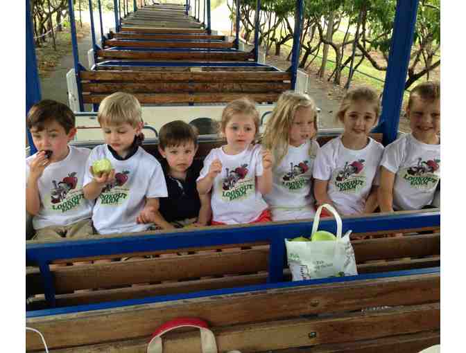 Belkin Family Lookout Farm - 4 Day Passes to the Farm!