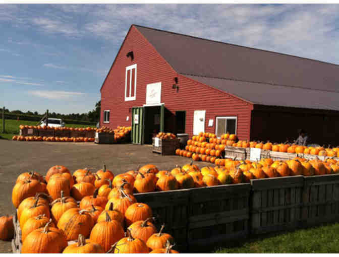 Belkin Family Lookout Farm - 4 Day Passes to the Farm!