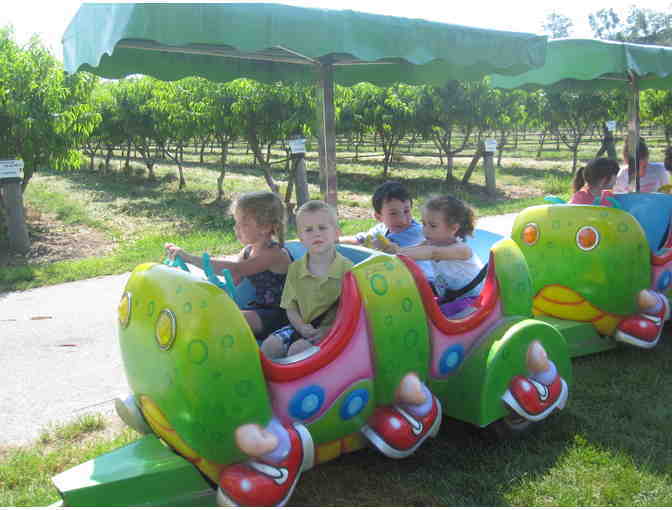 Belkin Family Lookout Farm - 4 Day Passes to the Farm!