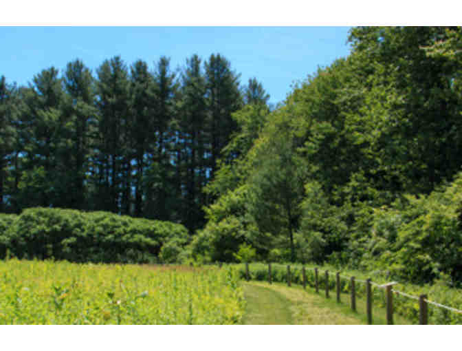 Mass Audubon - 1 Year Family Membership