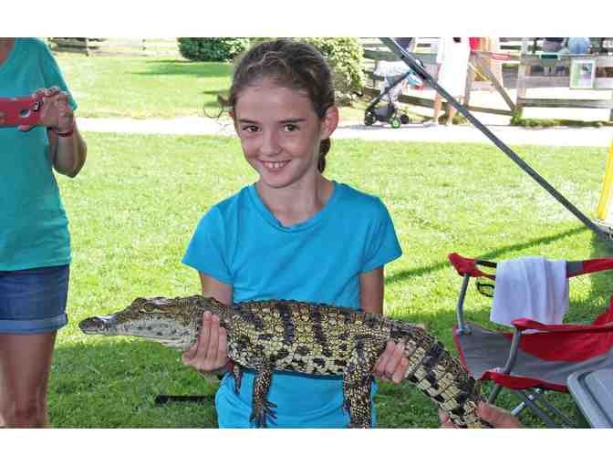 Davis Farmland or Davis Mega Farm Festival 2020 - Passes for 4!