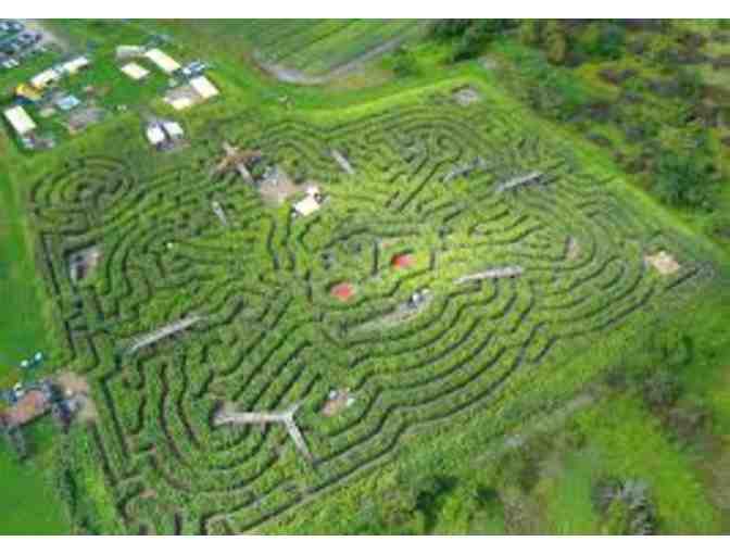 Davis Farmland or Davis Mega Farm Festival 2020 - Passes for 4!