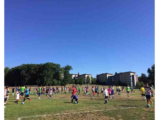 Steel Soccer Camp - 1 Week of Half Day Summer Day Camp in Needham