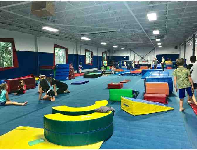 Energy Fitness & Gymnastics -  Kids Birthday Party