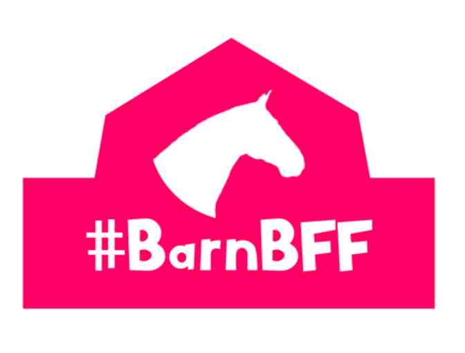 Youth Book Series by Local Author and Mason-Rice Parent Kim Whitney - PLUS a Toy Horse!