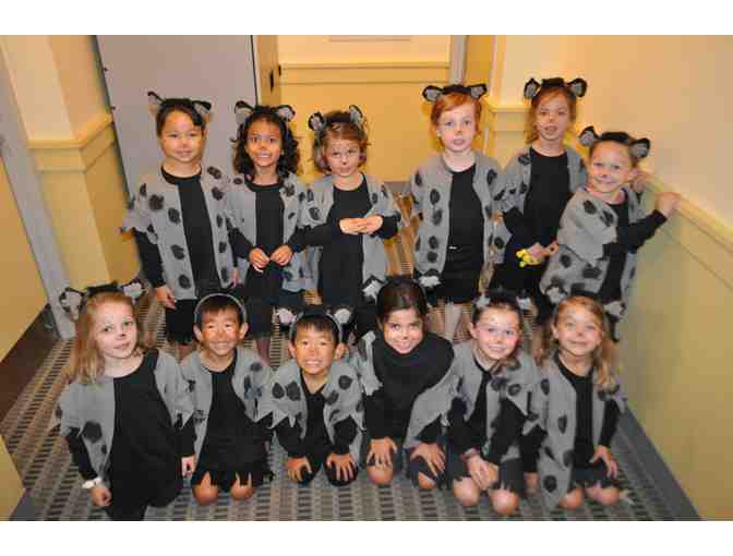 Chestnut Hill School Summer Camp - 2 weeks of camp Sessions 1 or 2