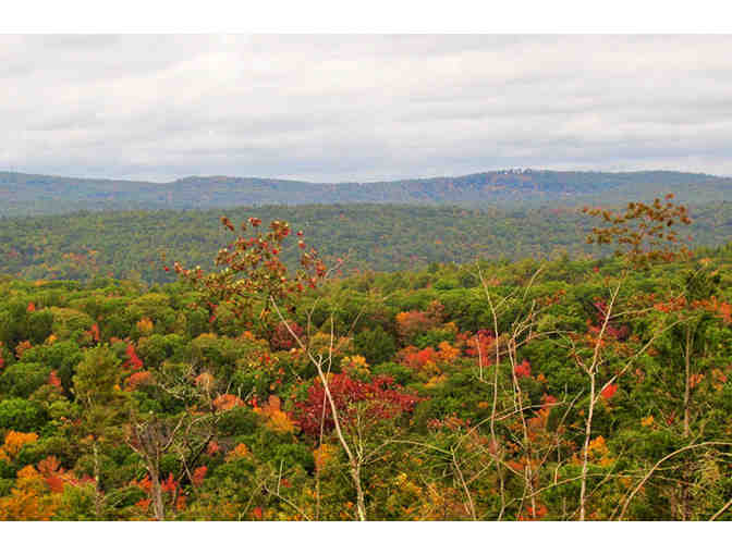 Mass Audubon - 1 Year Family Membership