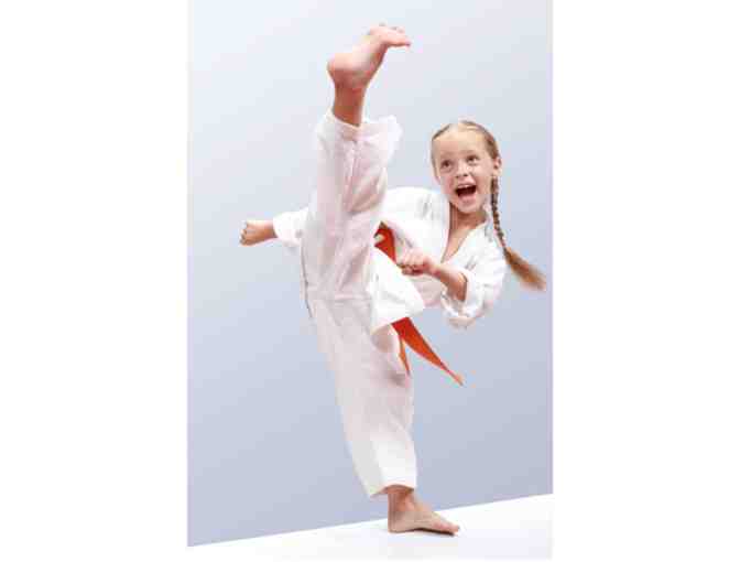 Giroux Bros. Martial Arts - Gift Certificate for Karate Birthday Party