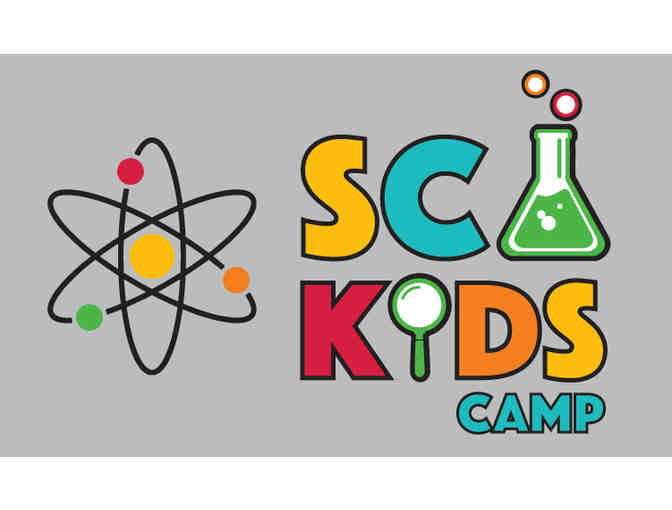 LINX Day Camp - $600 Discount Pack - 3 x $200 off per week of summer camp