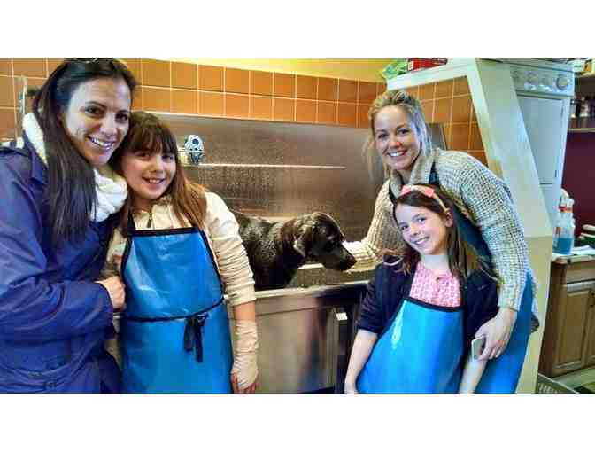 B.Y.O.D. Uber Spa Treatment for Your Dog!