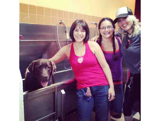 B.Y.O.D. Uber Spa Treatment for Your Dog!