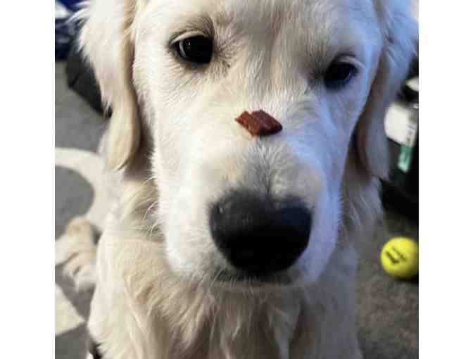 Officer Leo Classroom Visit!