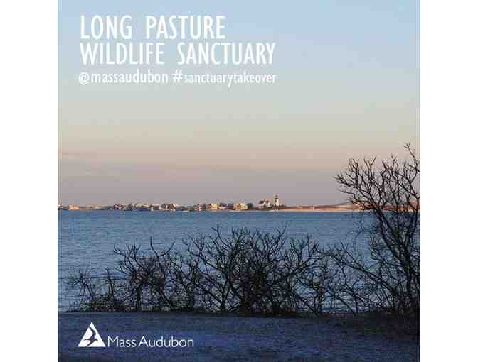 Mass Audubon - 1 Year Family Membership