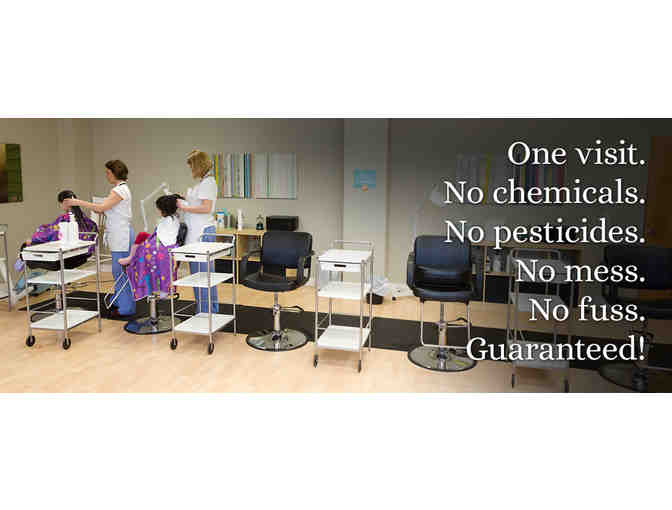 Lice Aunties - Gift Certificate for 4 Head Screenings and Lice Prevention Kit