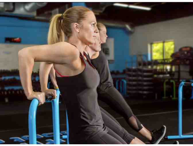 Burn Boot Camp Newton - One Month Unlimited Membership