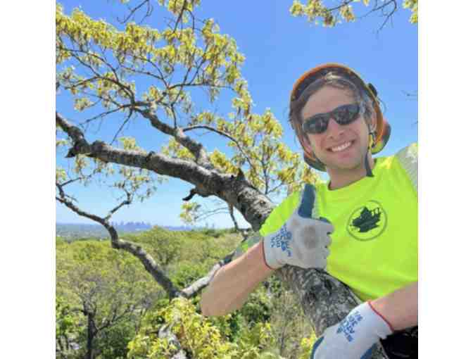 Barrett Tree Service East - At-Home Consultation and $225 Credit Towards Services