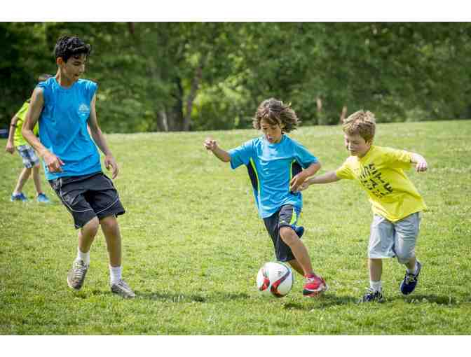 The Chestnut Hill School Summer Camp: 1 Two-Week Session of Camp ($1600)