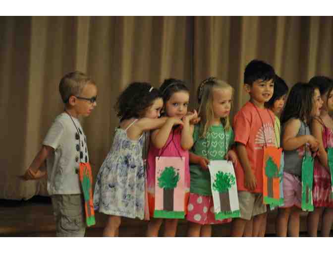 The Chestnut Hill School Summer Camp: 1 Two-Week Session of Camp ($1600)