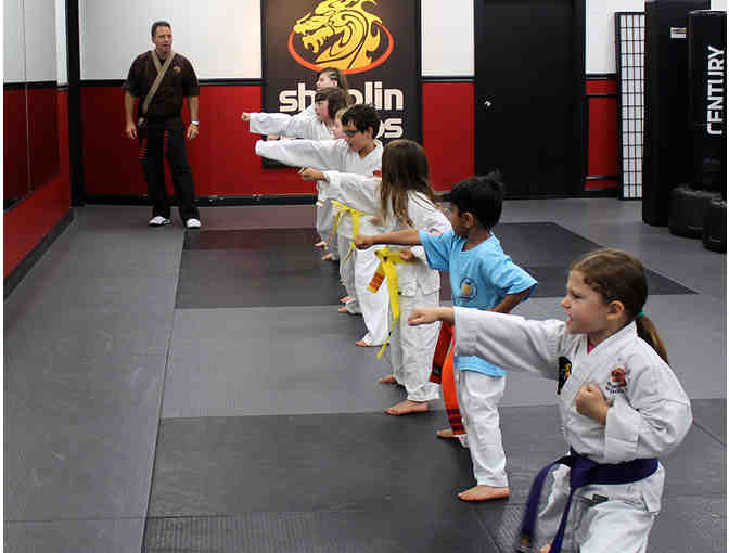 SDSS Martial Arts in Newton Centre - 1 Month of Summer Lessons