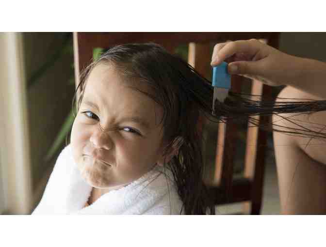Lice Aunties - Gift Certificate for 4 Head Screenings and Lice Prevention Kit