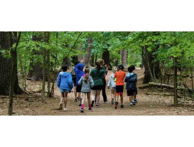 One Week of Summer Camp at NEOC in Wellesley