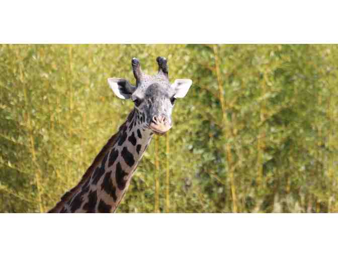 Roger Williams Park Zoo - Four Zoo Admission Passes (Providence, RI)