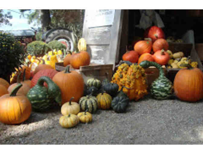 Nicewicz Family Farm (Bolton) - 2 Half Bushel Bags of Pick Your Own Apples
