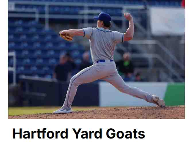 Take Me Out to the Ball Game! - Photo 1