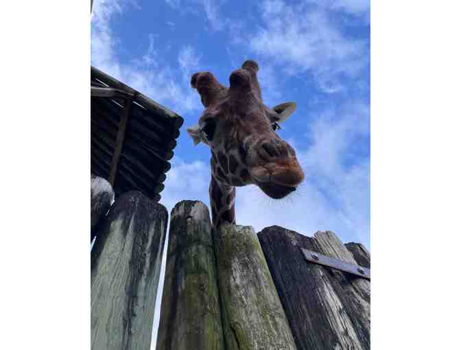 Montgomery Zoo: Behind the Scenes Tour for up to 10! What an adventure! - Photo 4