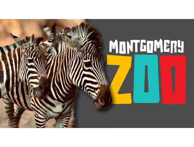 Montgomery Zoo Zoofari Summer Camp -- 1 week / 1 child (2025) [2 of 2]