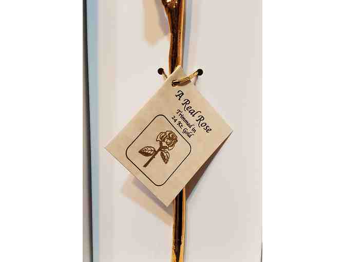 Eternity Rose -- Soft Pink with Zebra Stripes