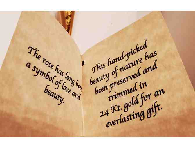 Eternity Rose -- Soft Pink with Zebra Stripes