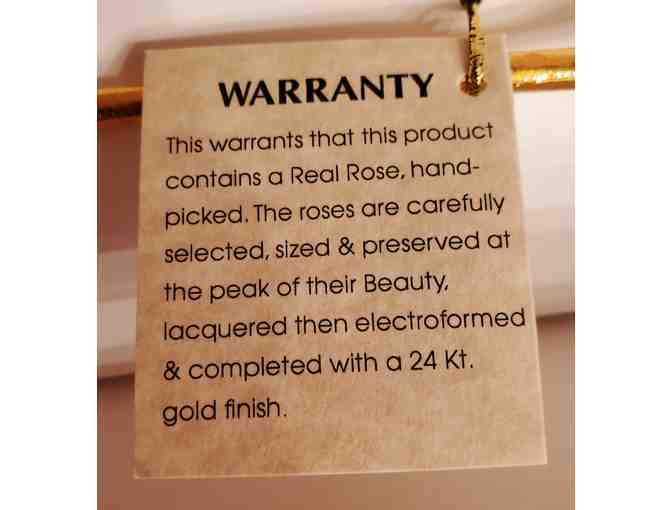 Eternity Rose -- Slate Blue with Leopard Print