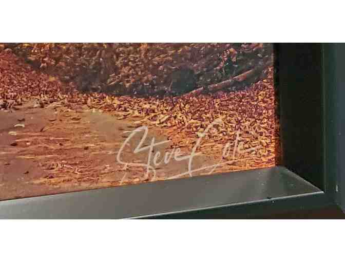 Art -- Framed / Signed by artist, Steve Cole -- Scenic Lighthouse - Photo 2