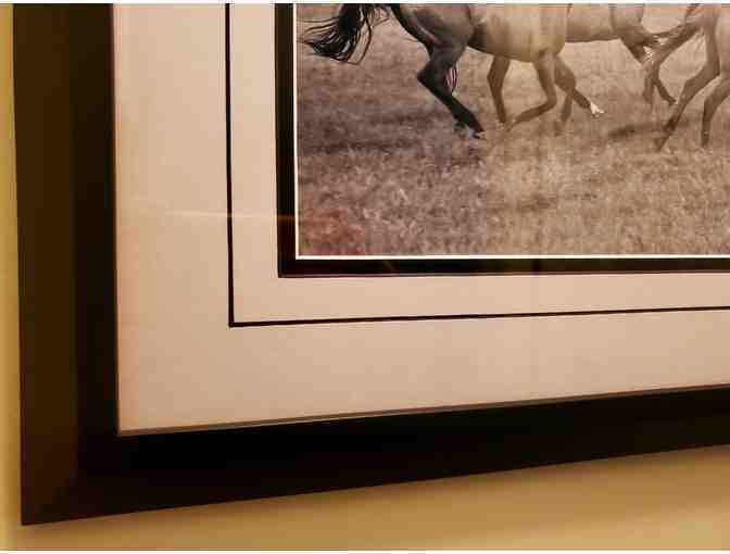 Galloping Horses -- Framed / Signed / Professional Photography by Merle Wasson