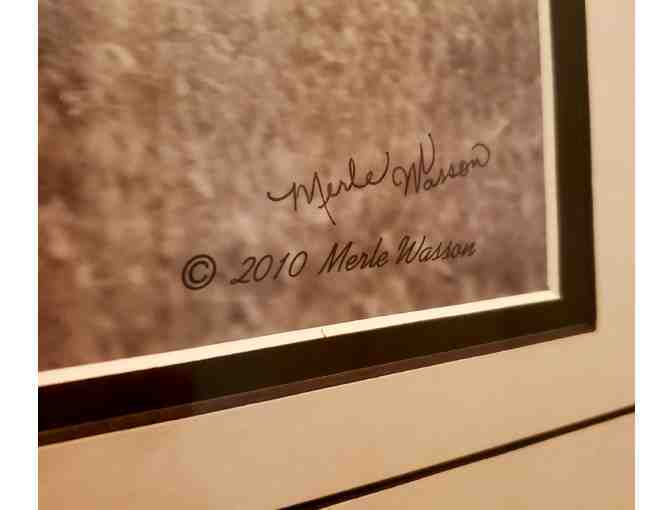 Galloping Horses -- Framed / Signed / Professional Photography by Merle Wasson