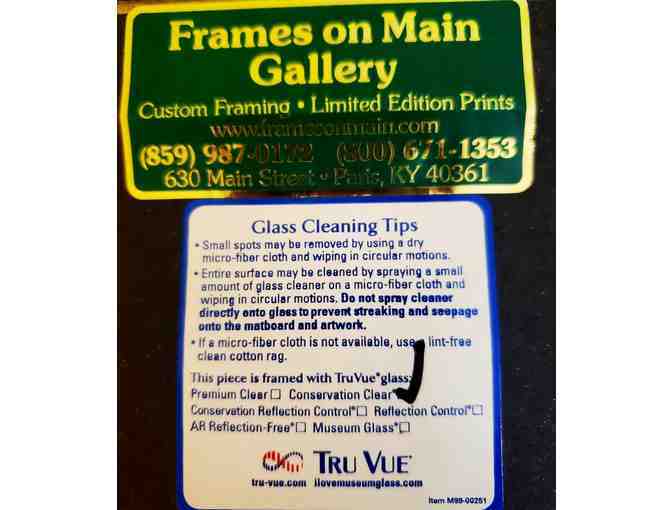 Galloping Horses -- Framed / Signed / Professional Photography by Merle Wasson