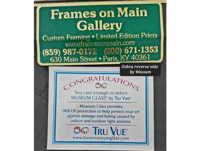 Original * Signed * Photography by Merle Wasson: Zebra on Golden African Savannah