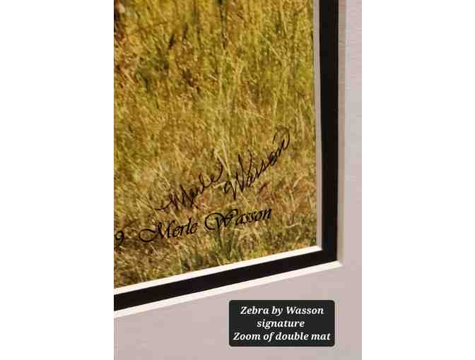 Original * Signed * Photography by Merle Wasson: Zebra on Golden African Savannah