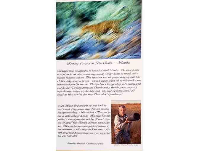 Original * Signed * Photography by Merle Wasson: Running Leopard on Blue Mineral Rocks