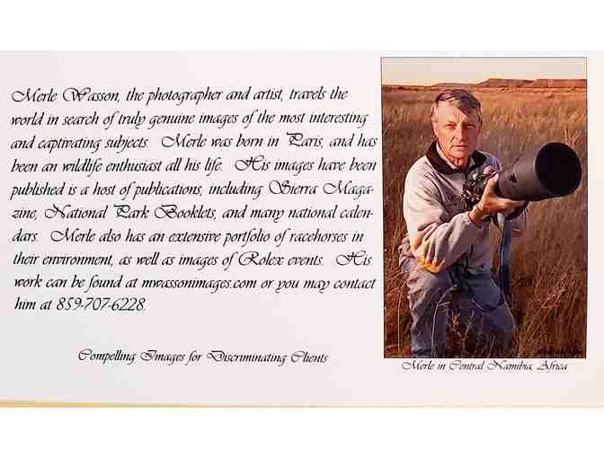 Original * Signed * Framed Photography by Merle Wasson: Watchful Grace