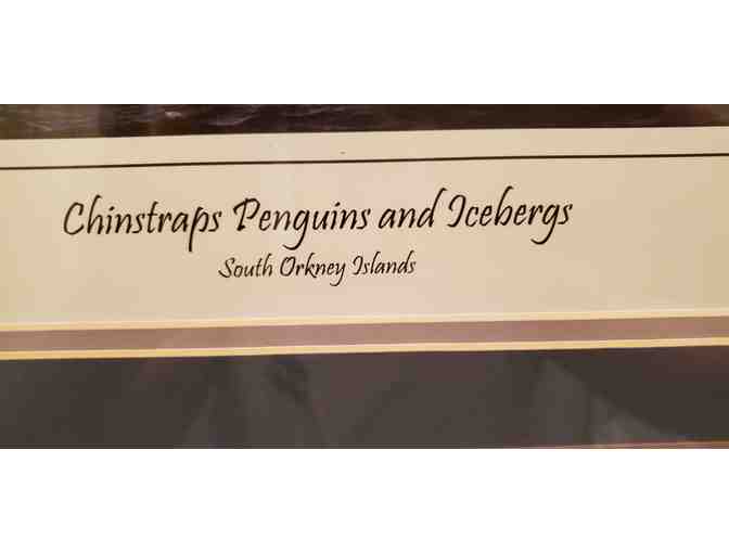 Original Photography * Signed * by Merle Wasson: Penguins and Icebergs -- LE 3 / 250