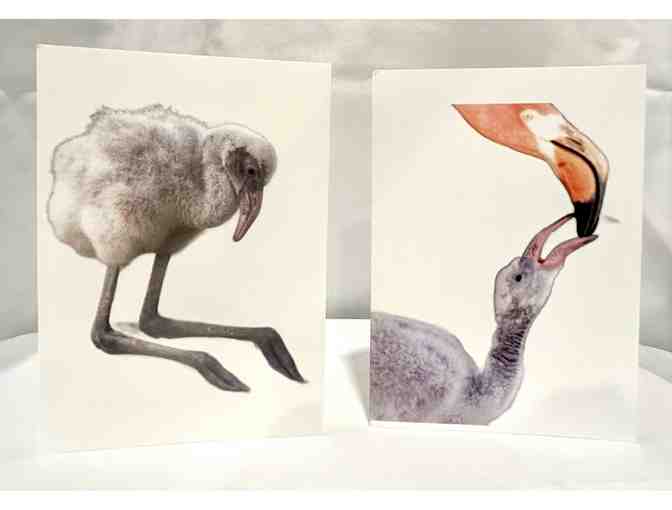 Flamingo Stationery Set