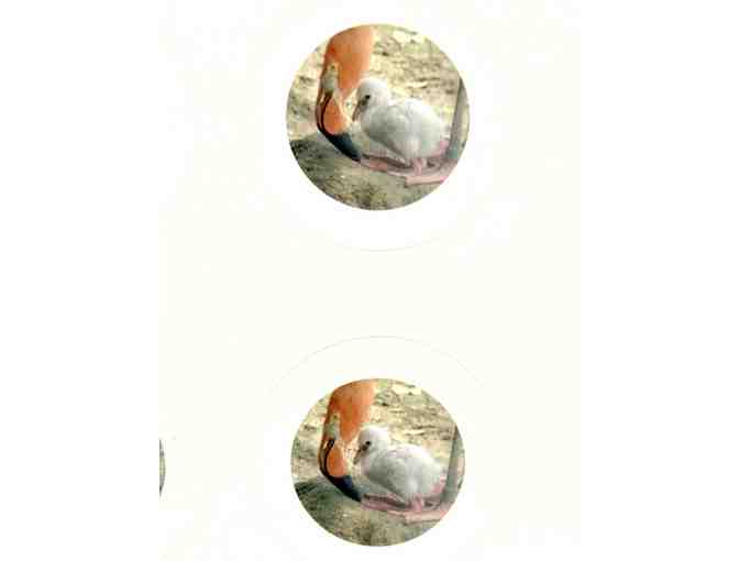 Flamingo Stationery Set