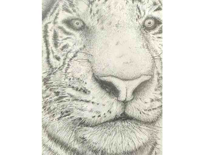 Art by Keith Lawler - Graphite Pencil of Tiger