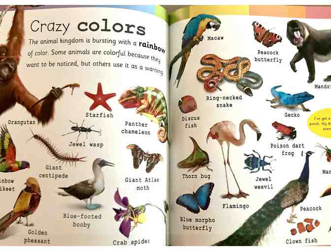 Hardcover Book - My Collection of Very Important Mini and Mighty Creatures