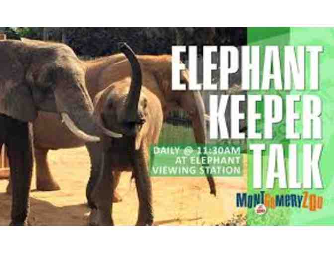 Montgomery Zoo Elephant Experience -- up to 8! Make it a Party!